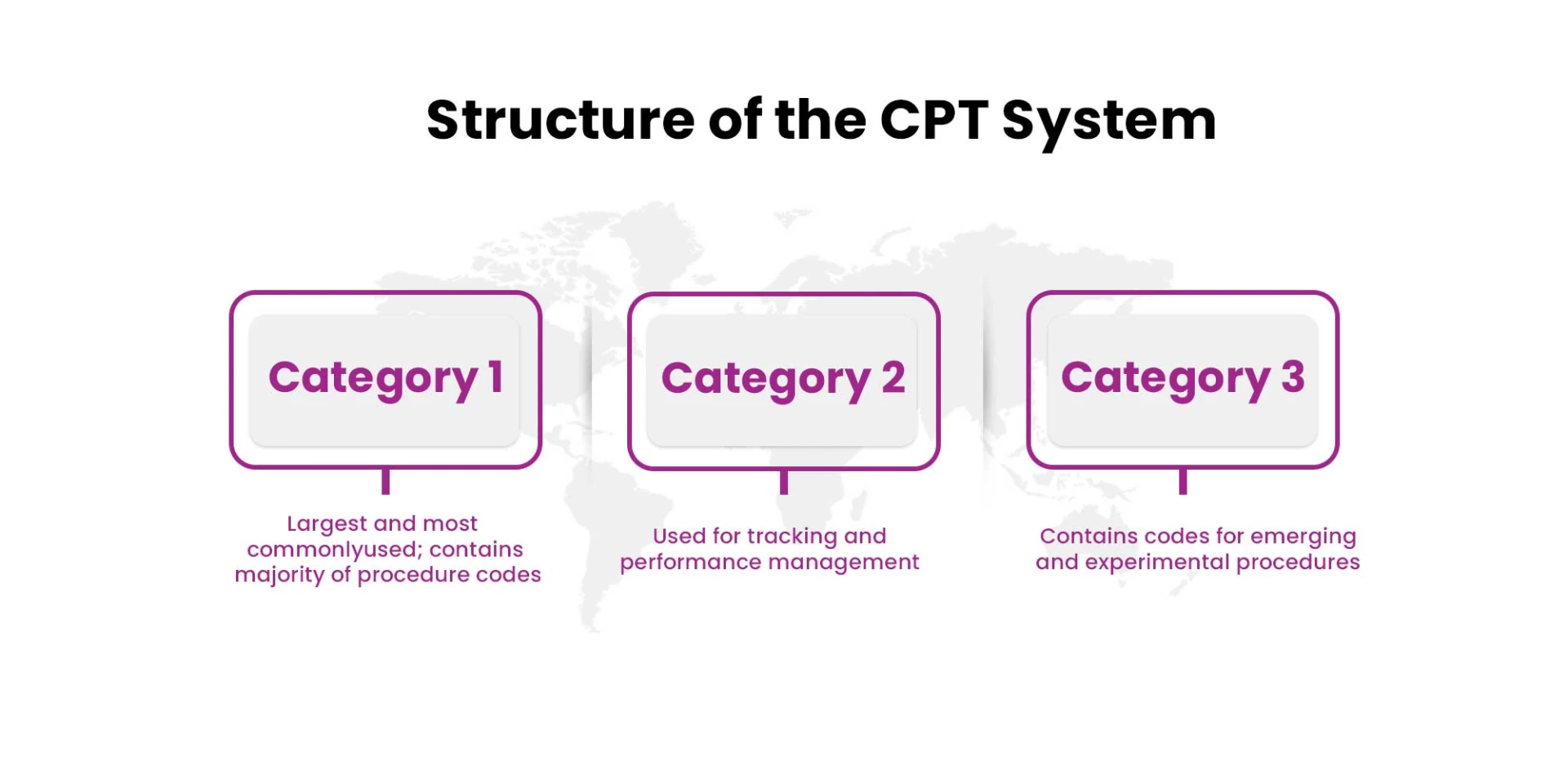 CPT (Current Procedural Terminology) 